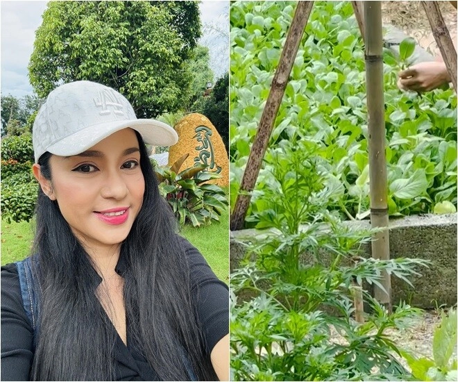 Cuộc sống thôn quê của việt trinh ở nhà vườn 3000m2 có vườn rau xanh thích mắt ai nhìn cũng thấy an yên - 1