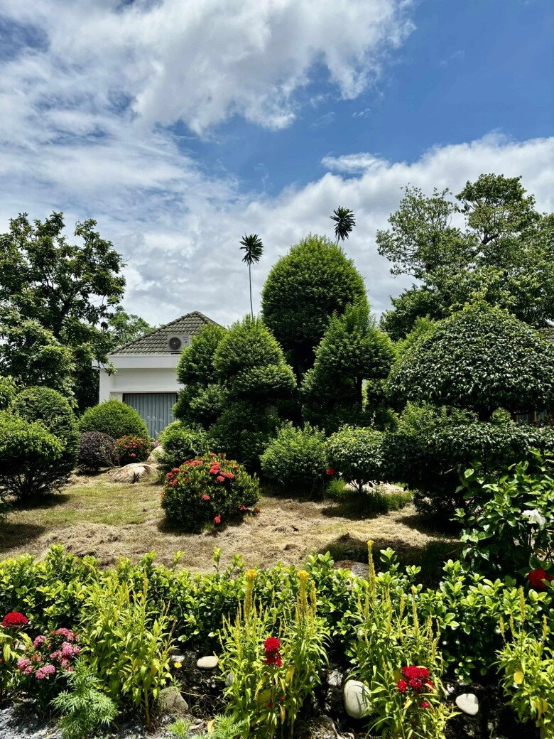 Cuộc sống thôn quê của việt trinh ở nhà vườn 3000m2 có vườn rau xanh thích mắt ai nhìn cũng thấy an yên - 10
