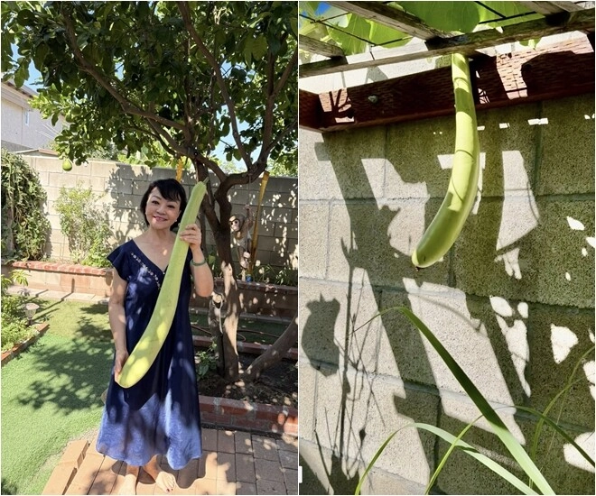 Danh ca hương lan có giàn bầu được nhiều nghệ sĩ đến thăm yên ấm cùng chồng kỹ sư trong nhà vườn 1000m2 - 1