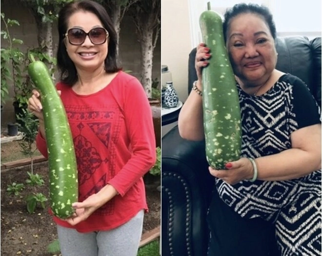 Danh ca hương lan có giàn bầu được nhiều nghệ sĩ đến thăm yên ấm cùng chồng kỹ sư trong nhà vườn 1000m2 - 2