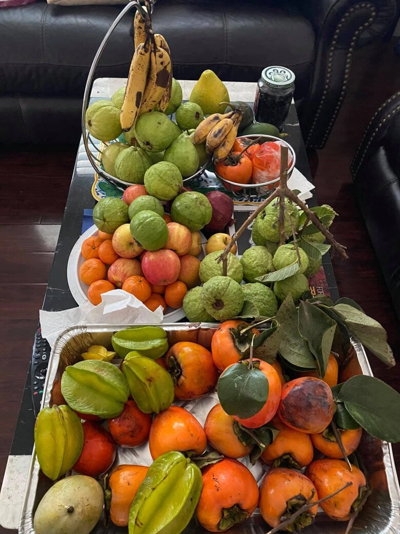 Danh ca hương lan có giàn bầu được nhiều nghệ sĩ đến thăm yên ấm cùng chồng kỹ sư trong nhà vườn 1000m2 - 13