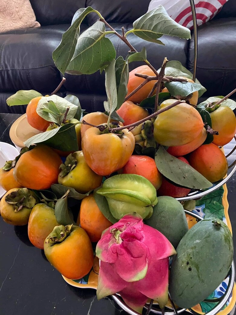 Danh ca hương lan có giàn bầu được nhiều nghệ sĩ đến thăm yên ấm cùng chồng kỹ sư trong nhà vườn 1000m2 - 14