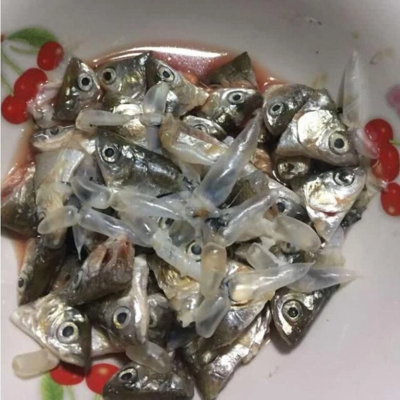 Đây là 3 loại phân đạm lân kali có sẵn trong nhà cây lúc nào cũng xanh mơn mởn hoa nở rộ quanh năm - 4