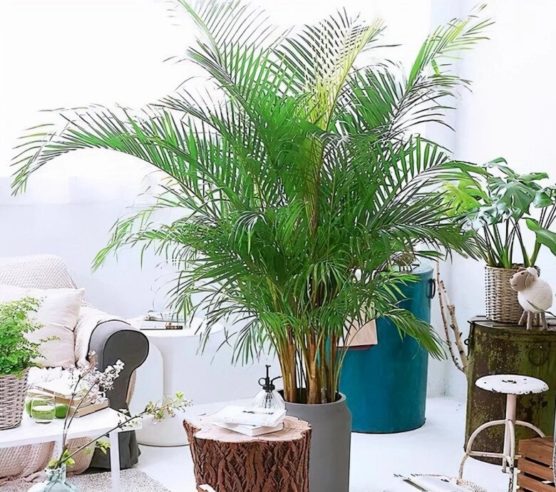 Đừng đặt những vật này dưới điều hòa người giàu đều biết trừ khi bạn muốn sống khổ - 3