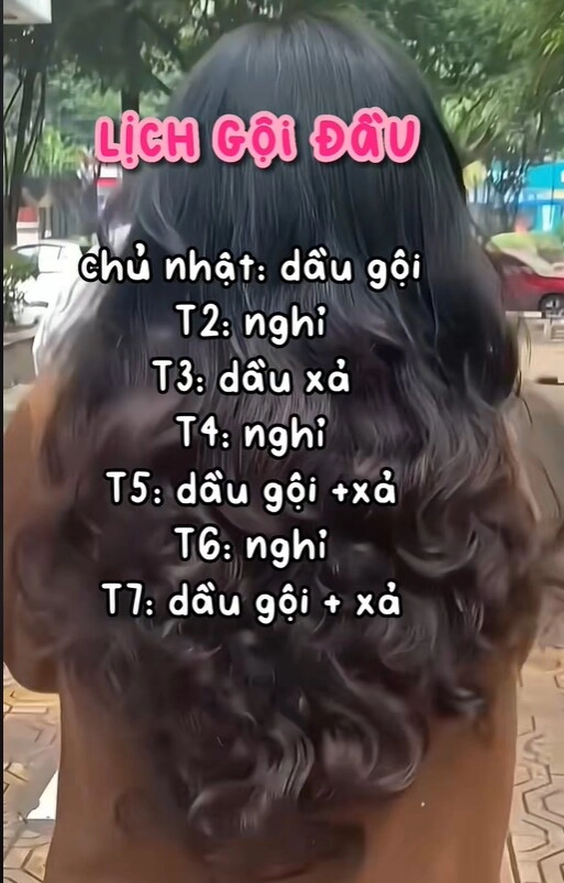 Dùng dầu gội trị gàu mà tóc vẫn như tuyết rơi mùa hè có lẽ bạn đã sai ngay từ bước đầu tiên - 8