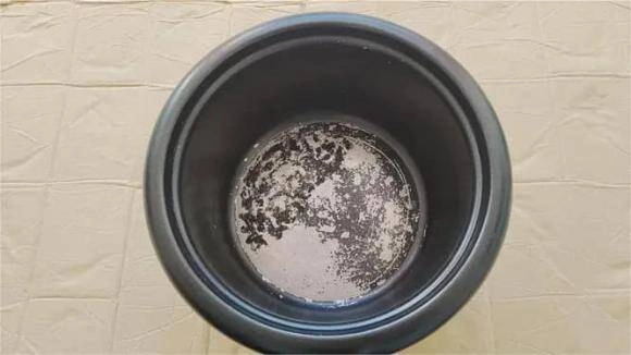 Đừng tưởng vô hại chức năng quen thuộc này của nồi cơm điện có thể khiến cả nhà mắc bệnh - 6