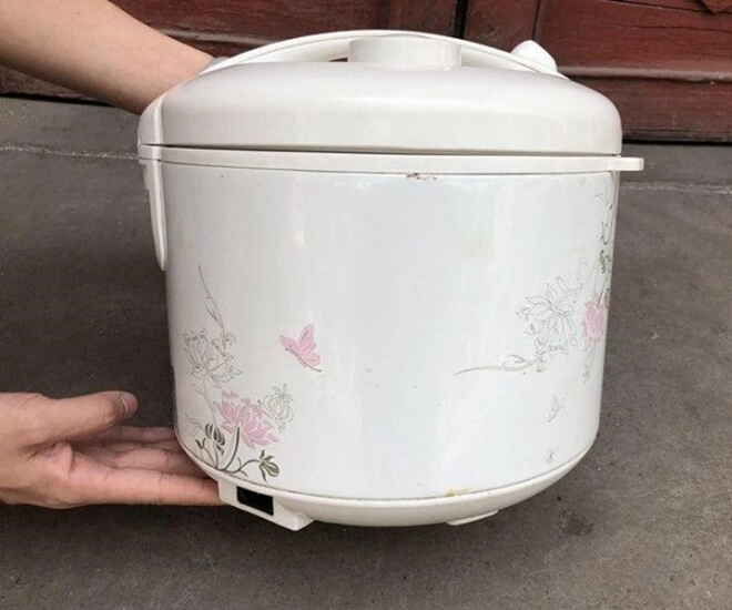 Đừng vứt nồi cơm điện bị hỏng hãy học 8 cách biến tấu này lợi không ngờ - 1