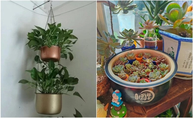 Đừng vứt nồi cơm điện bị hỏng hãy học 8 cách biến tấu này lợi không ngờ - 5