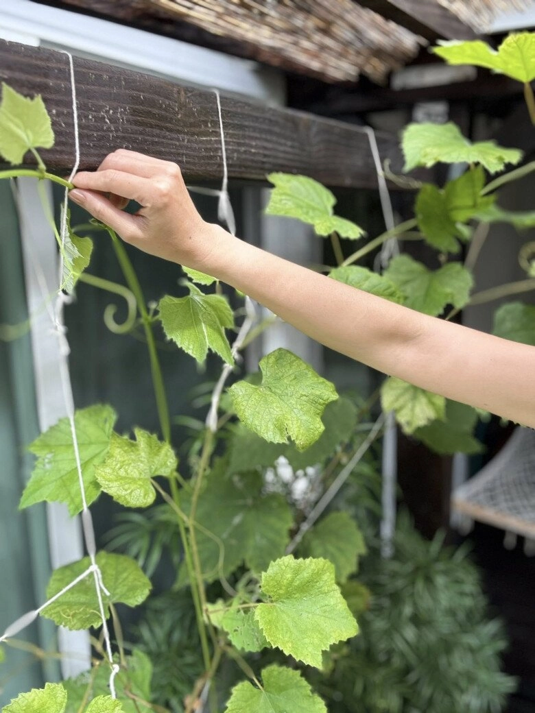 em gái tăng thanh hà sống giản dị với niềm vui trong khu vườn ở mỹ khoe loài hoa chỉ nở về đêm - 3