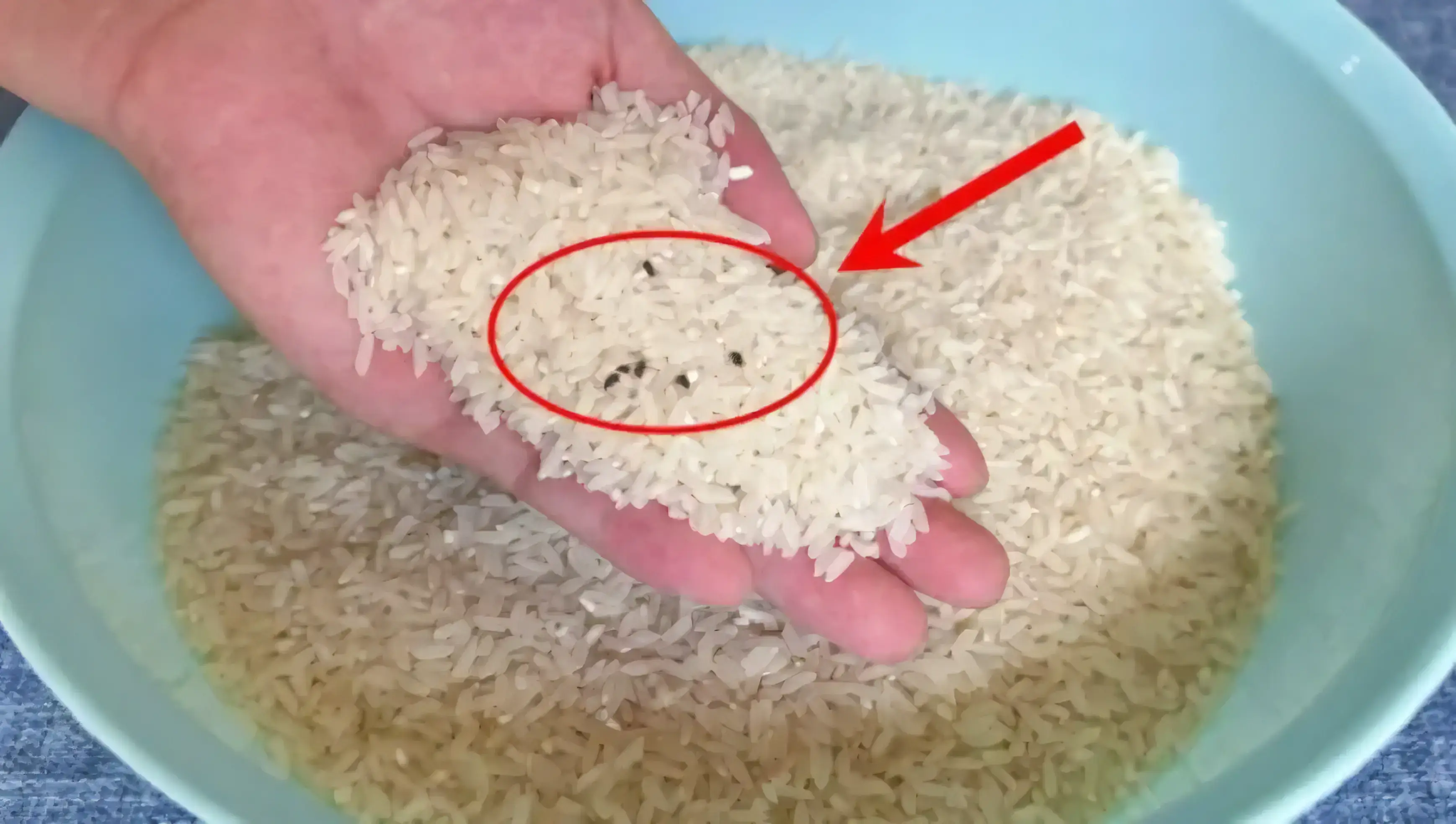 Gạo bị mọt đừng đem phơi nắng nữa hãy thử 4 mẹo này chỉ cần đặt một chút vào bao gạo cả năm không lo sâu mọt - 1