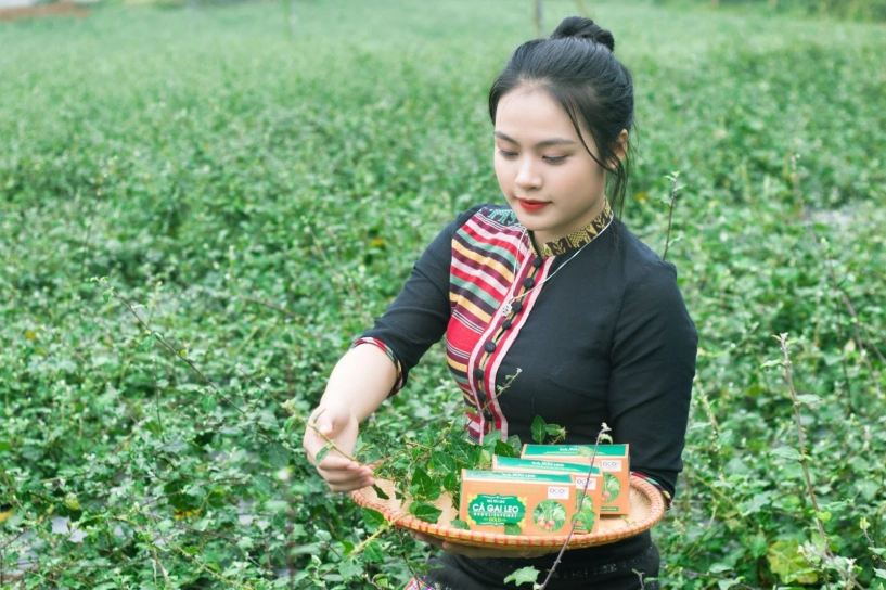 Giới trẻ thanh - nghệ - tĩnh giới thiệu đặc sản quê hương mà ai cũng nên thử - 5