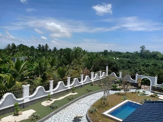 Hà trí quang - thanh đoàn chặt hàng trăm gốc xoài để dựng rạp cưới - 2