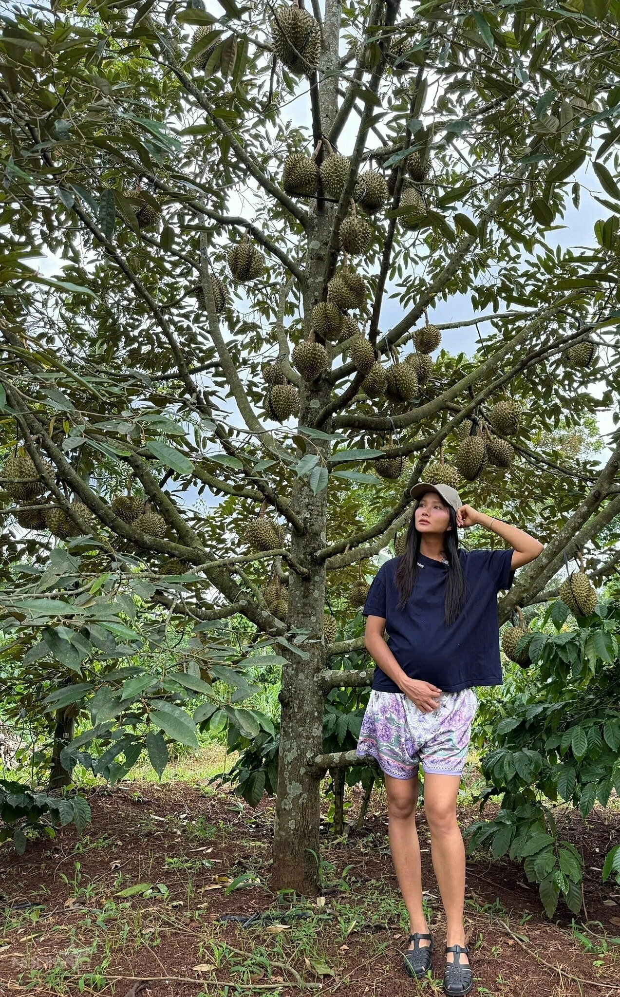 Hhen niê phải bỏ ăn sầu riêng sau khi đi khám thai bầu sắp vỡ chum vẫn gọn nhờ công chồng nhiếp ảnh gia - 3