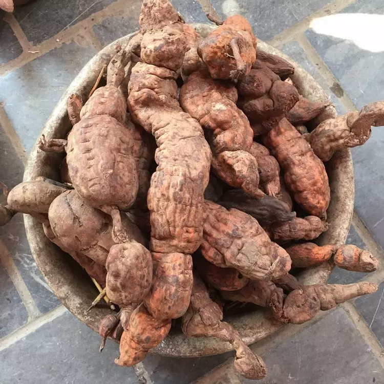 Học bà ngoại dùng loại nước này để gội đầu cô gái nhận cái kết mỹ mãn tóc không rụng mà ngày càng dày hơn - 6