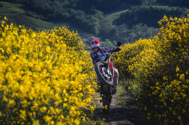 Khám phá fantic caballero scrambler 125 2025 vừa ra mắt - chất scrambler mê hoặc mọi đấng mày râu - 3