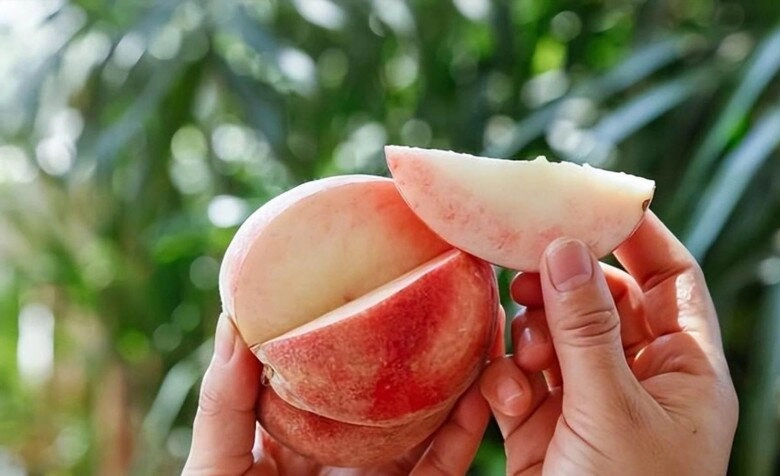 Khi mua đào nên chọn quả to hay nhỏ nhiều người không biết lại có sự khác biệt này - 4