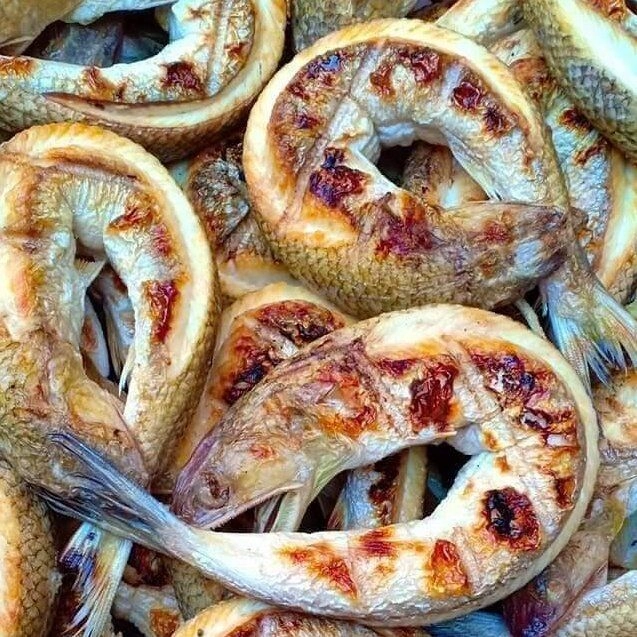 Loài cá ông trời chỉ có ở nghệ an xưa là món ăn dân dã nay được chị em lùng mua bằng được vì ý nghĩa đặc biệt - 4