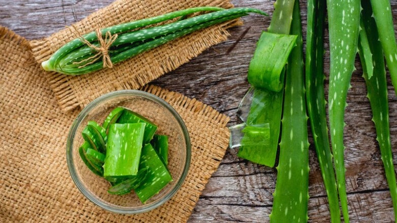 Loại cây tưởng là thần dược làm đẹp lại có thể phá nát khuôn mặt nếu phạm phải những điều này - 3