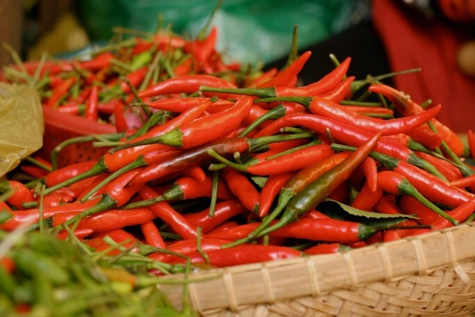 Loại quả tốt nhất thế giới trồng 2 tháng cho thu hoạch là khắc tinh của mỡ máu và ung thư trồng chậu làm cảnh cũng đẹp - 2