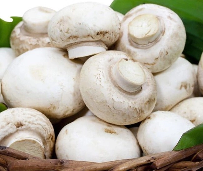Loại rau tròn xoe có nhiều thành phần dinh dưỡng vàng tốt cho người viêm phế quản xào với trứng cực ngon - 1
