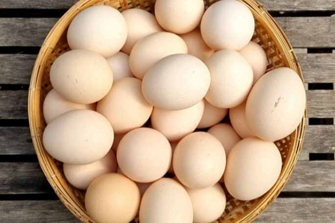 Loại trứng quý như nhân sâm giúp bé thông minh dinh dưỡng cao gấp 4 lần trứng gà giá chỉ 500 đồngquả - 1