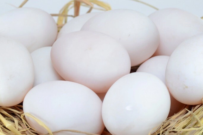 Loại trứng quý như nhân sâm giúp bé thông minh dinh dưỡng cao gấp 4 lần trứng gà giá chỉ 500 đồngquả - 2