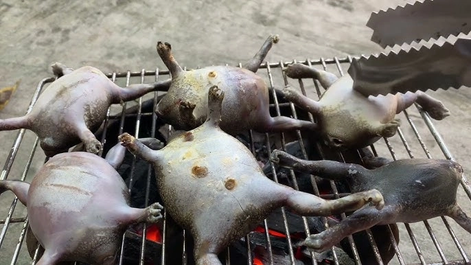 Loài vật tròn ủm trơn nhớt nhìn rợn người lại là đặc sản bình thuận dân thành thị lùng mua dù giá cao vẫn hết veo - 4