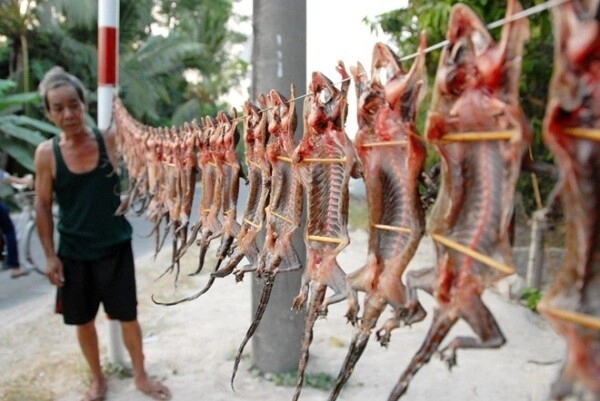 Loài vật vẻ ngoài khiến ai cũng rợn người là đặc sản chỉ có ở tây ninh làm mồi nhậu thì hết chỗ chê - 4