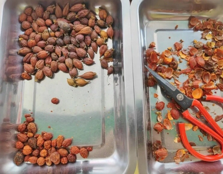lộc trời được ví đắt hơn vàng nở đẹp hơn hoa nguyệt quế hương thơm hơn hoa nhài quả bán giá 300000 đồngkg - 4