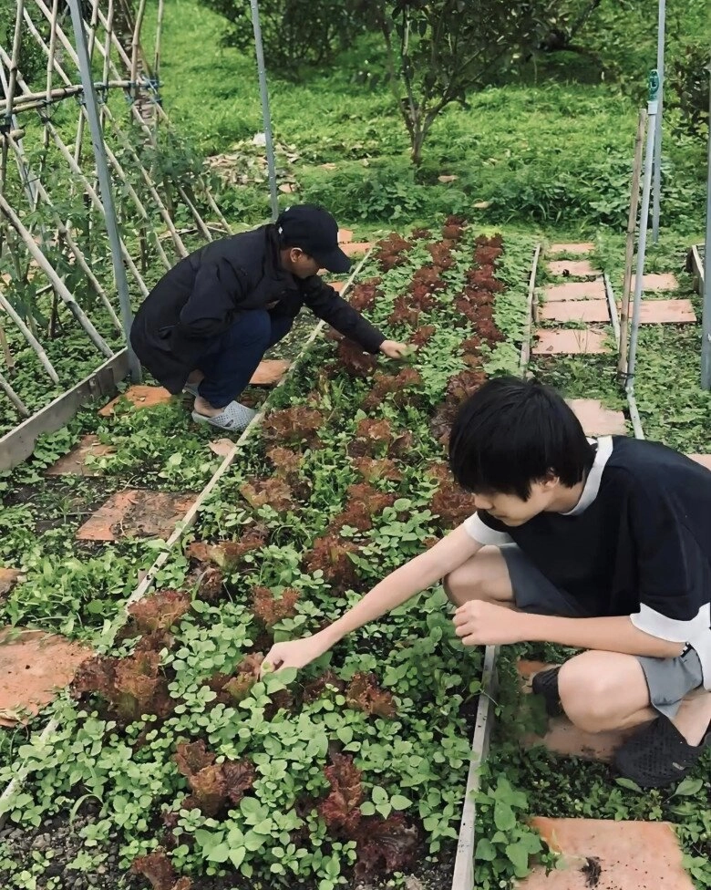 Lý hải dạy con trai 14 tuổi nhổ cỏ hái rau tại vườn ớt đắt nhất thế giới - 2