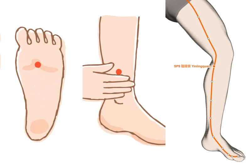 Mặt sưng phù sau tết 2 bí quyết sơ cứu cấp tốc để lấy lại khuôn mặt chữ v nhỏ nhắn đồng nghiệp tưởng giảm cân - 5