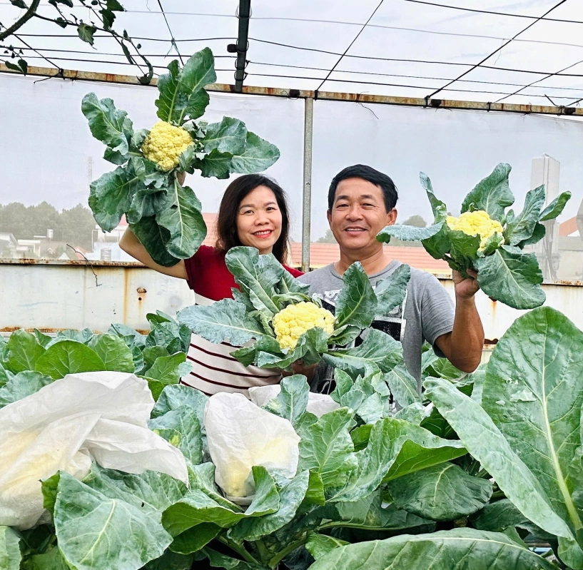 Mẹ 3 con biên hòa trồng 2 vườn rau xanh mướt trên ban công và sân thượng rau trái trĩu giàn quanh năm - 1