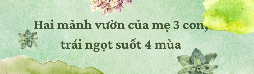Mẹ 3 con biên hòa trồng 2 vườn rau xanh mướt trên ban công và sân thượng rau trái trĩu giàn quanh năm - 3