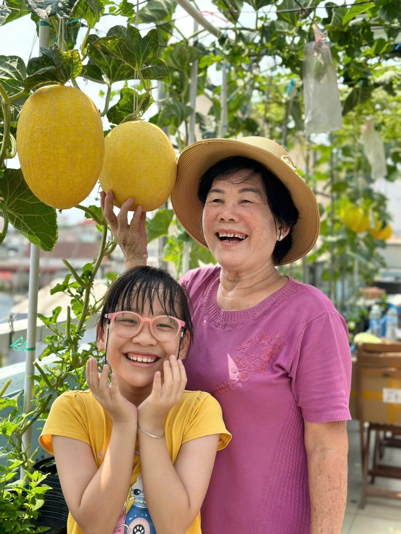 Mẹ 3 con biên hòa trồng 2 vườn rau xanh mướt trên ban công và sân thượng rau trái trĩu giàn quanh năm - 8