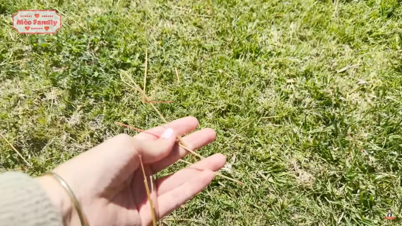Mộ đức tiến bị phá hoại giữa ồn ào gia đình tranh chấp tài sản vợ bình phương khóc nghẹn khi nhìn cảnh hoang tàn - 2