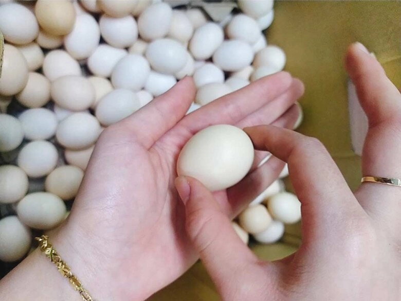 Mua trứng gà người thông minh chỉ chọn quả nhỏ người nuôi lỡ miệng nói sau đừng mua bừa bãi - 3