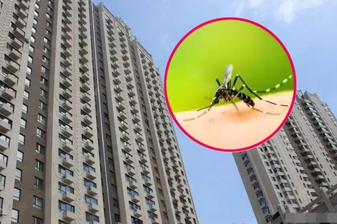 Muỗi có thể bay cao đến tầng mấy đây là cách diệt muỗi an toàn hiệu quả bằng những thứ có sẵn trong nhà - 1