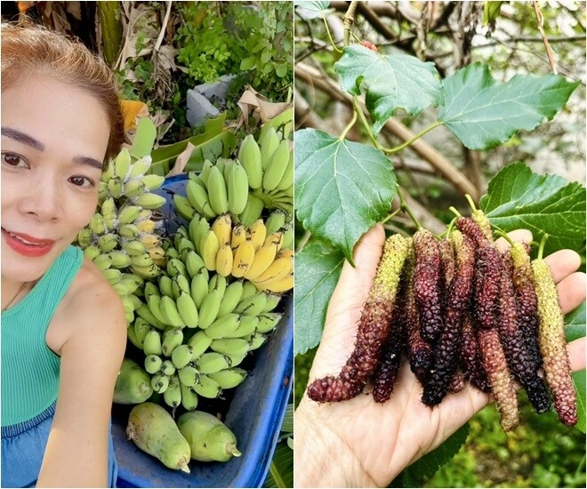 mỹ nhân ngư của showbiz việt sở hữu khu vườn 10000m2 giờ chẳng màng hư danh chỉ thích ngồi nhổ cỏ ươm cây - 1