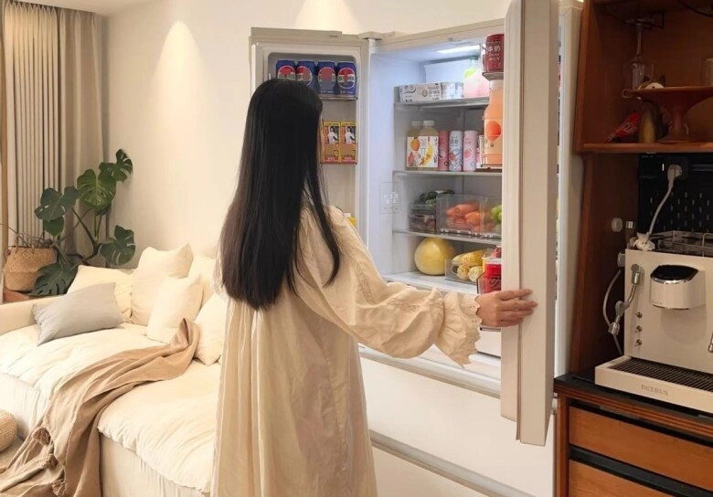 Ngày càng nhiều người không dùng tủ lạnh hai cánh tủ lạnh này vừa đẹp vừa sang lại tiện dụng hơn - 5