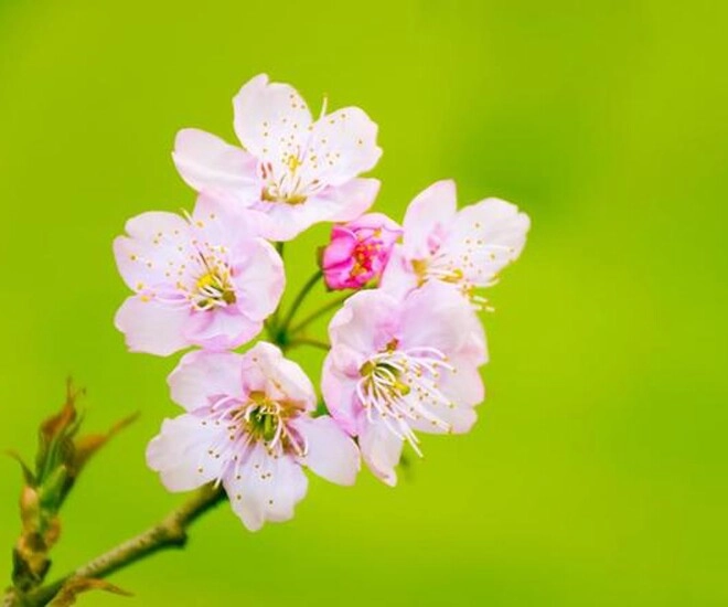 Người sở hữu 3 điều này thực sự không đơn giản năng lực rất đáng nể - 1