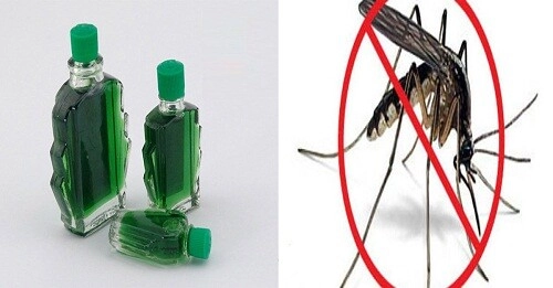 Người thông minh thường nhỏ vài giọt dầu gió vào nước lau nhà biết lý do tôi liền học theo - 3