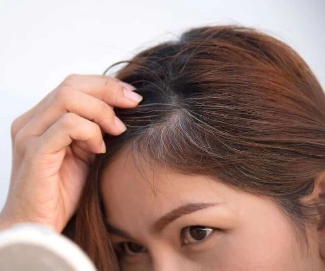 Nhổ tóc không làm giảm đi lượng tóc bạc chị em áp dụng 5 mẹo sau để tóc đen nhánh và óng mượt như lụa - 1