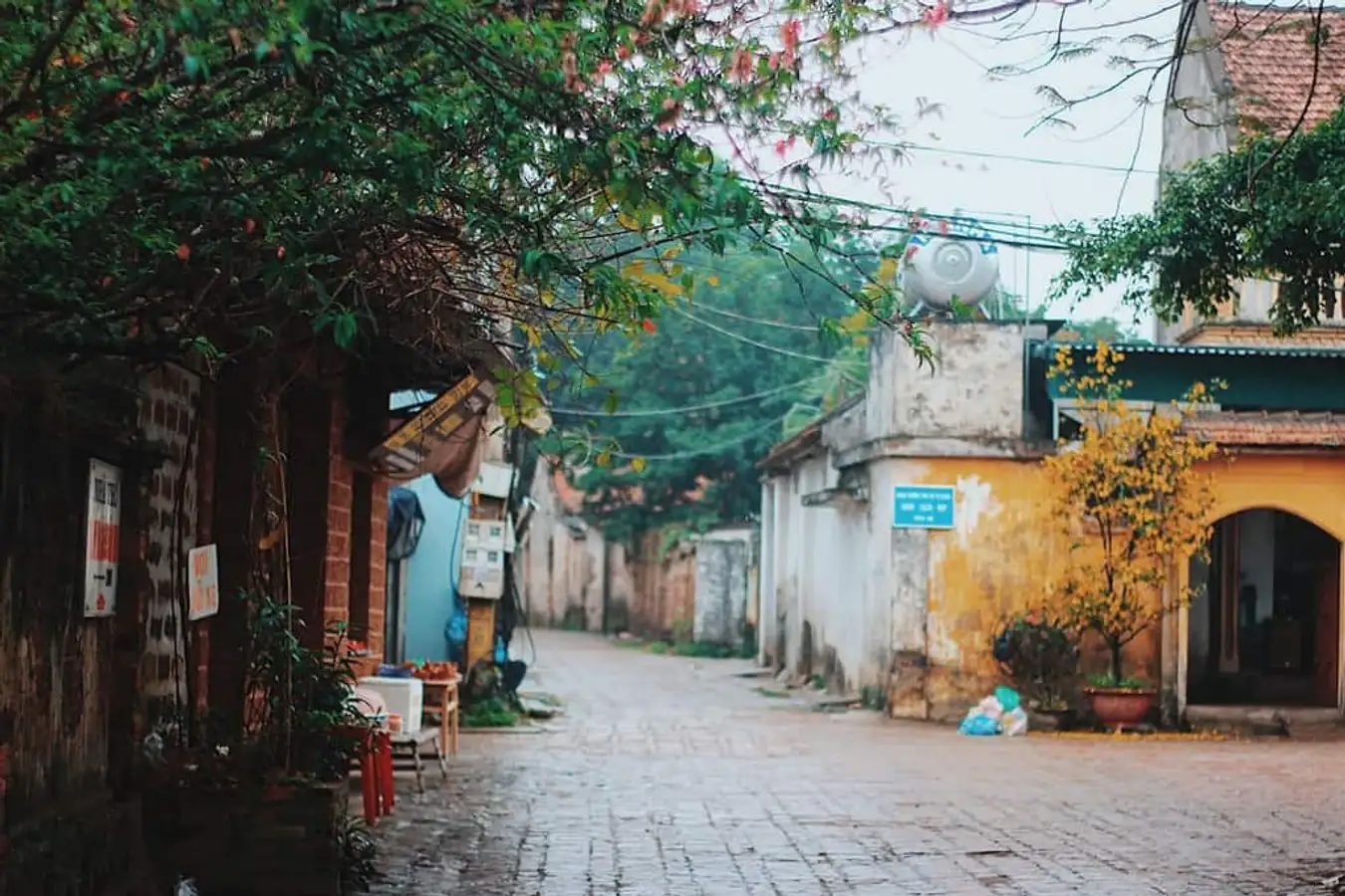 Những ngôi làng cổ hà nội ngày đầu đông mang vẻ đẹp trầm mặc nơi có tuổi đời hơn 500 năm đẹp tựa truyện cổ tích - 1