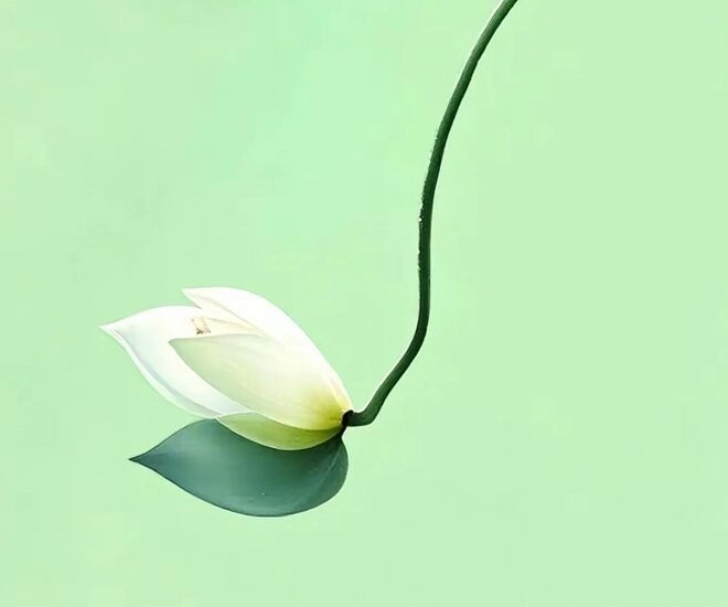 Phúc khí của một người thực chất đều ghi dấu trên khuôn mặt - 1
