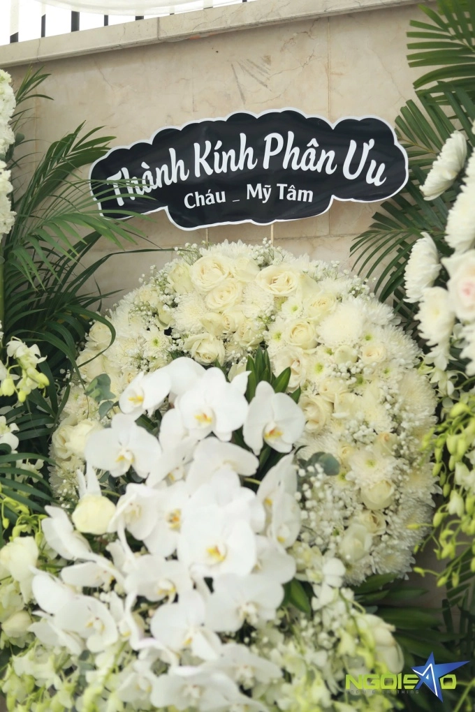 Quang dũng mẹ đợi tôi về mới nhắm mắt ra đi - 3