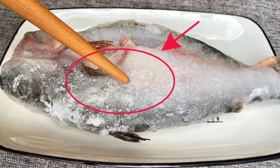Rã đông cá trực tiếp bằng nước là sai lầm bếp trưởng mách đây là hai kỹ thuật rã đông nhanh chóng giữ cá tươi ngon - 2