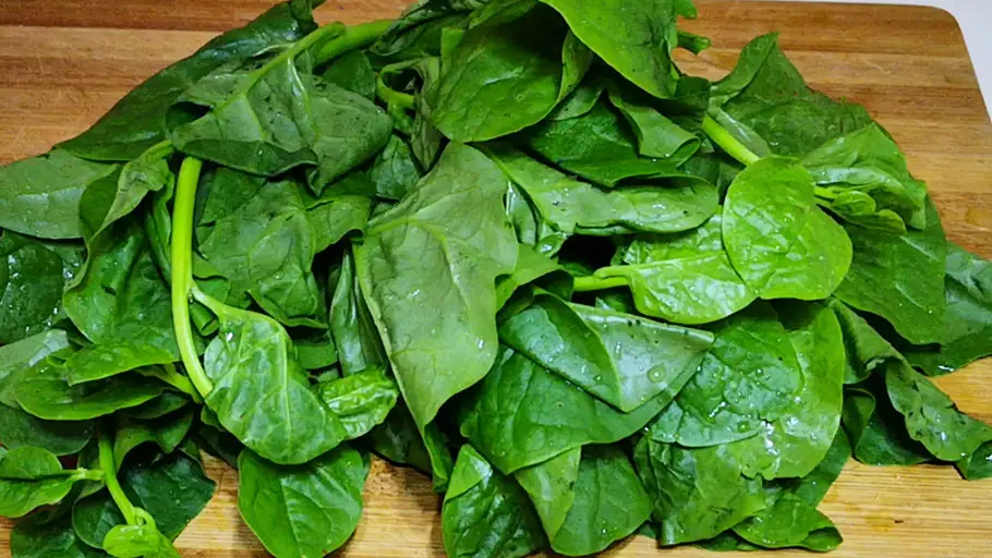 Rau này nuôi dưỡng dạ dày làm chắc xương cải thiện thị lực canxi gấp 3 lần trứng ăn nhiều mùa hè cực tốt đừng bỏ lỡ - 1