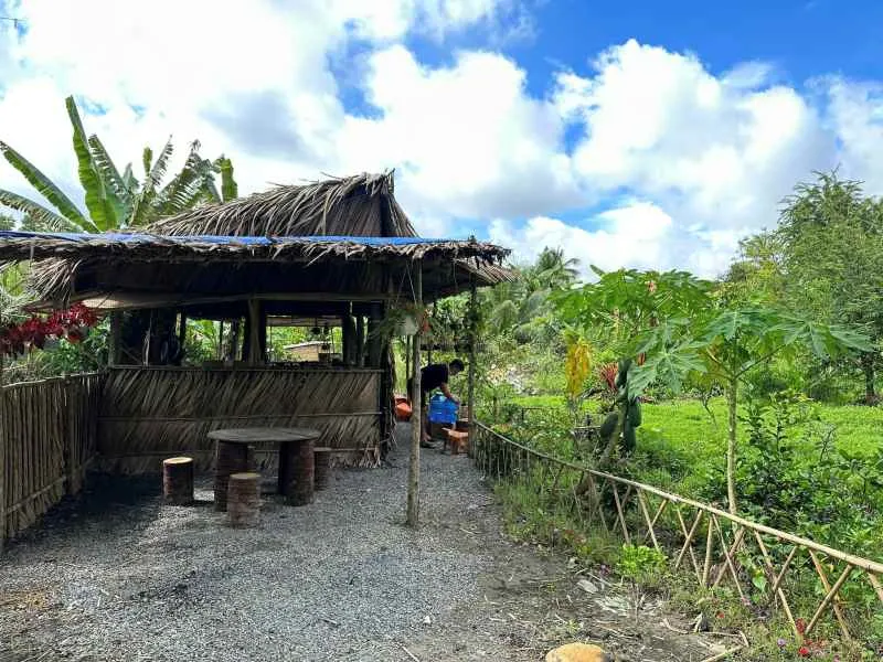 Sao nam quê long an về vườn nấu toàn đặc sản địa phương cực ngon mắt ở nhà 6000m2 vẫn khổ nhất thế giới - 14
