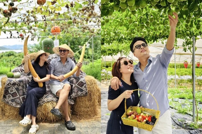 Sao việt 24h hoa hậu hà kiều anh thông báo tang sự của mẹ chồng hàng loạt nghệ sĩ gửi lời chia buồn - 10
