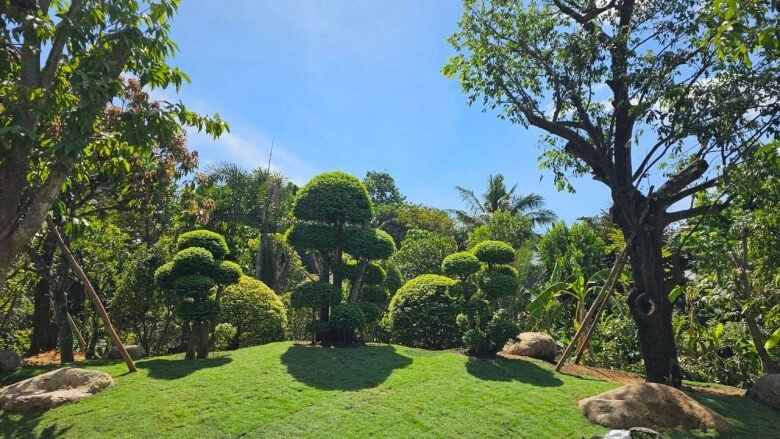 Sao việt quy y tuấn hưng mong mẹ bình an giữa bạo bệnh công vinh nương nhờ cửa phật ngay trong đám cưới với thủy tiên - 10